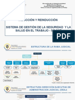 1 Induccion y Reinducción Sst. Año 2022