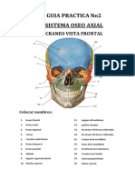 Guias Practica #02 - Sistema Oseo Axial2020 Ii