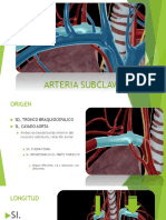 Arteria Subclavia