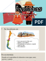 Disertacion Aymaras