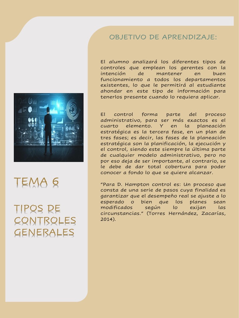 Tipos de Control en la Gestión Empresarial | PDF | Planificación | Business