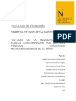 Avance Final-Trabajo de Investigación de Microbiología Ambiental Denis