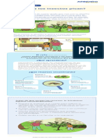 Aec2 Primaria 3y4 Seguimosaprendiendo Que Curiosidad Infografia de Presentacion para Estudiantes