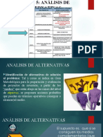 22.07.04 PASO 5 y 6 DE MARCO LOGICO - ANALISIS DE ALTERNATIVAS y ESTRUCTURA ANALITICA