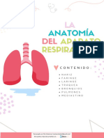 Anatomia - Resumen