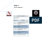 Dimensión 4 Etapa 4: Desarrollo Del Pensamiento Algebraico