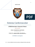 Anatomía y fisiología del sistema cardiovascular