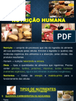 Tipos de Nutrientes (REVISÃO - 1º ANO - Em)