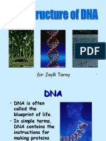 DNA Structure 1