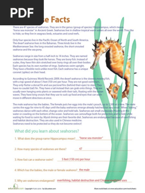Seahorse Facts 3