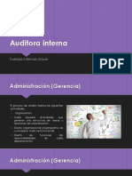 Auditoria Interna Proyecto PS