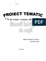 Proiect Tematic Meserii