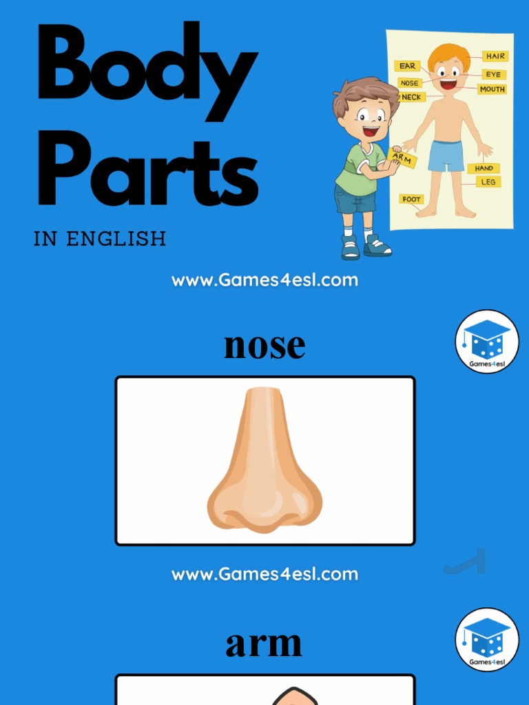 Parts of The Body PDF