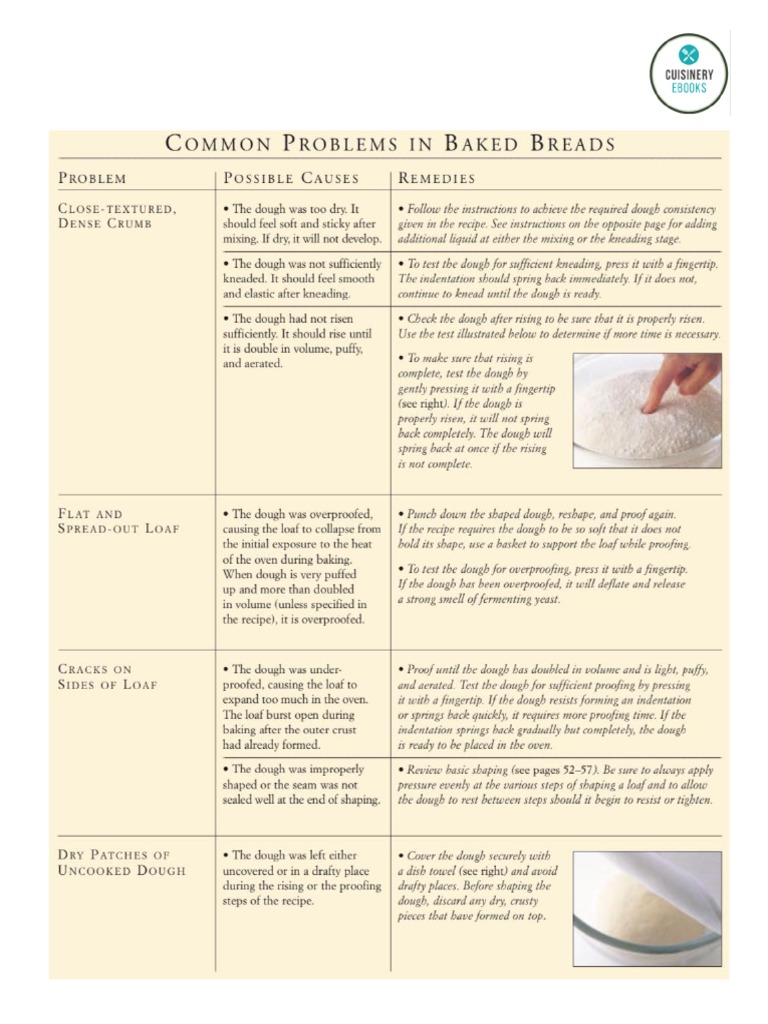 Common Problems in Baked Breads PDF