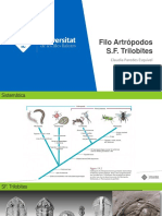 Trilobites y Quelicerados