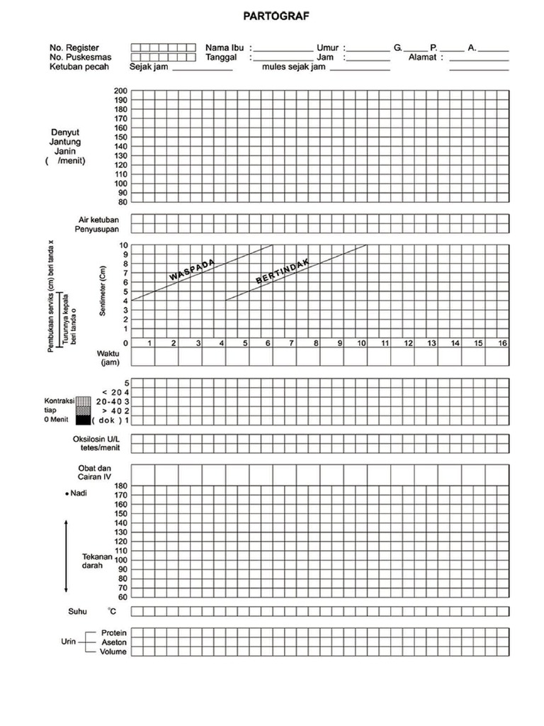 PARTOGRAF | PDF