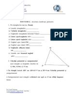 Triunghiul Descriere Clasificare Perimetru-Fisa