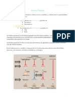 Farma 1 Er Parcial Mariana