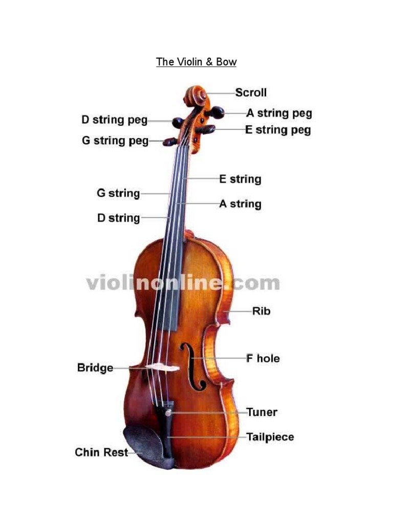 Violin Basico | PDF | Violin | String Instruments