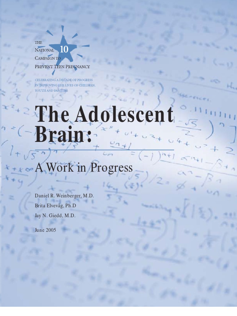 Understanding the Teen Brain | PDF | Adolescence | Prefrontal Cortex