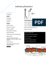 Biomol - Membrana Plasmatica