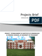 Projects Briefs