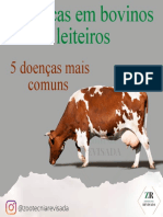 5 Doenças de Vacas D Eleite