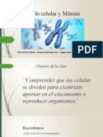 Biología II Medio - El ciclo celular y la Mitosis