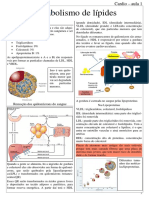 Cardio - aula 1 - metabolismo dos lípides