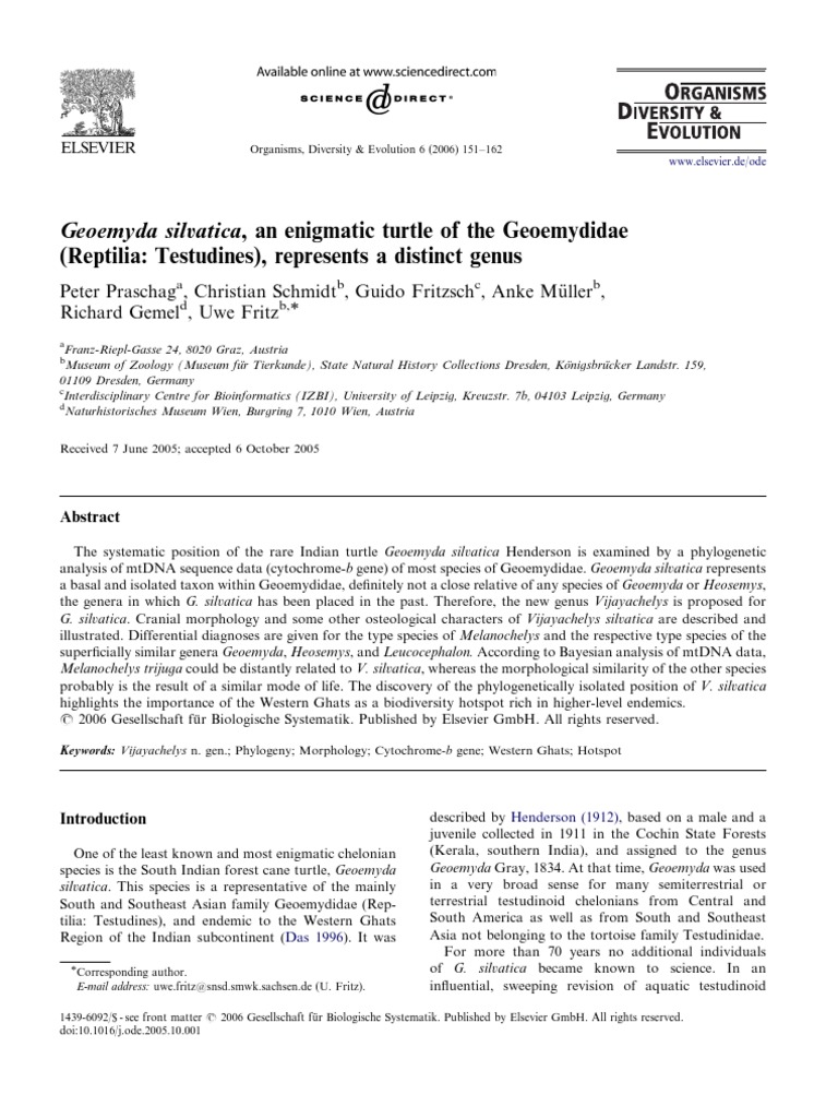 Geoemyda Silvatica An Enigmatic Turtle of The Geoemydidae (Reptilia ...