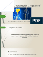 Biología II Medio - Organización y Estructura Del Sistema Nervioso