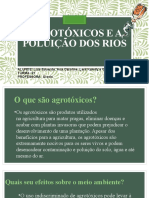 Agrotóxicos e A Poluição Dos Rios