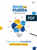 Pidilite Case Study