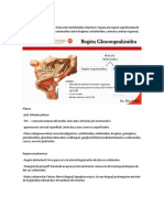 Region Glososuprahioidea PDF
