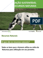 Classificação Dos Recursos Naturais