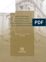 Ledesma Ibarra 2022-Breve Historia - RI