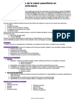 Historia y Practica de La Salud Comunitaria en Enfermería, LAUPA MILAGROS. III Ciclo Enfermeria, Mañana