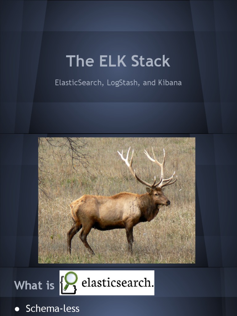 The elk stack lunch and learn pdf database index search engine