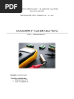 A.L. 2.1 Caracteristicas Da Pilha - FQ