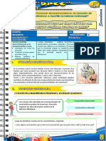 5° Dpcc. Actv.02-Exp.06 - Urb-Sem.02-Rut.02