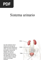 Técnica Quirúrgica Catéter Doble J | PDF | Sistema urinario | Riñón