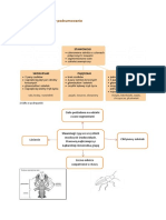 FW - Biologia - 6d - e - Stawonogi I Mięczaki 30.03.2020