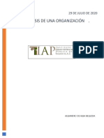 Analisis de La Organizacion (Proteccion Civil)
