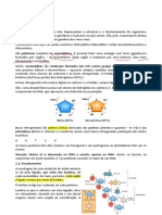 Biologia I - Aula 05 - Ácidos Nucleicos