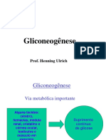 Processo metabólico de síntese de glicose a partir de precursores não-glicídicos