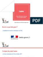 Présentation Projet Lapin