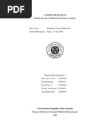 Download LAPORAN PRAKTIKUM pelilinan by GHVKUYF SN59918895 doc pdf