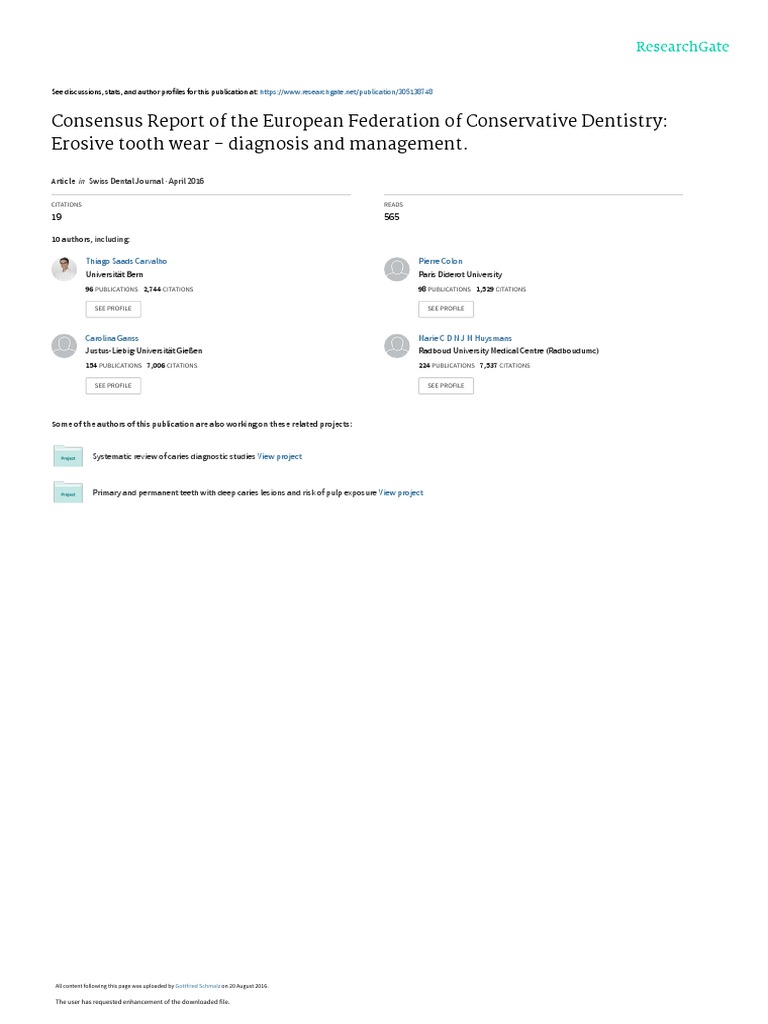 Consensus Report of The European Federation of Conservative Dentistry