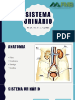 Aula2 Sistemaurinrio 170318091505