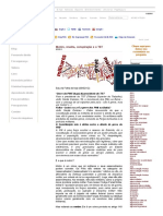 Motim, revolta, conspiração e o TST - Para Entender Direito